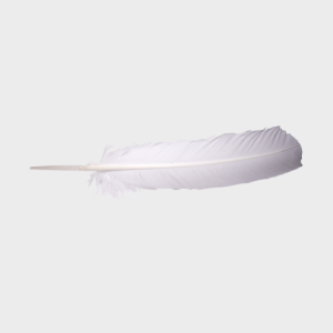 Goose Feather